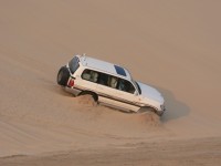 Highlight for album: Dune Trip in Qatar