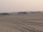 Dune hopping is popular in these parts