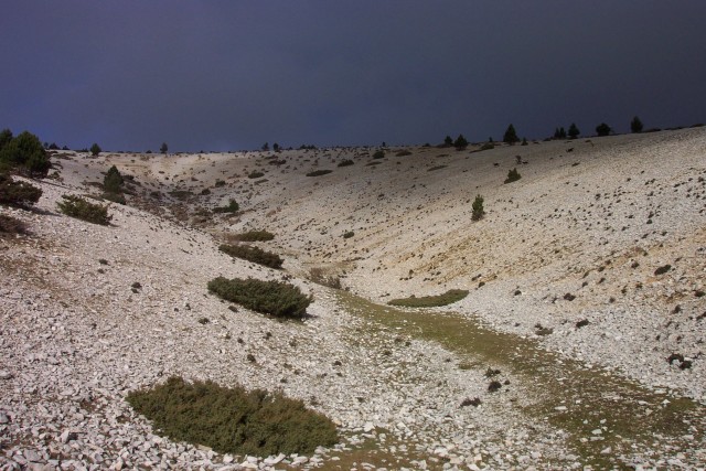 Le Mont Ventoux is well known as one of the toughest mountains on the Tour De France. The top of the mountain is barren, everything is covered in white rocks.

This is as high as we could go by car. They had closed the road for the year because of the threat of snow.  When we were there, there was no snow, but above a certain height visibility was severely limited by a thick fog.