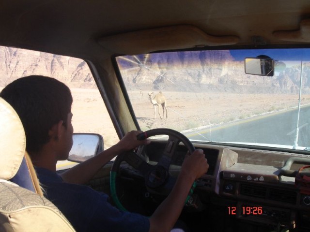 Luckily, our driver found a dictionary to sit on so that he could see over the steering wheel.