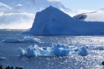 The sparkling blues of the water and the icebergs were mesmerizing!