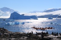 Highlight for album: Antarctic Peninsula