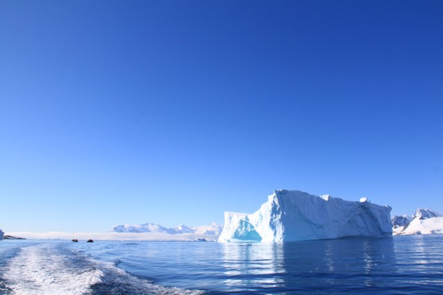 After our landing we took a zodiac tour of the surrounding icebergs.