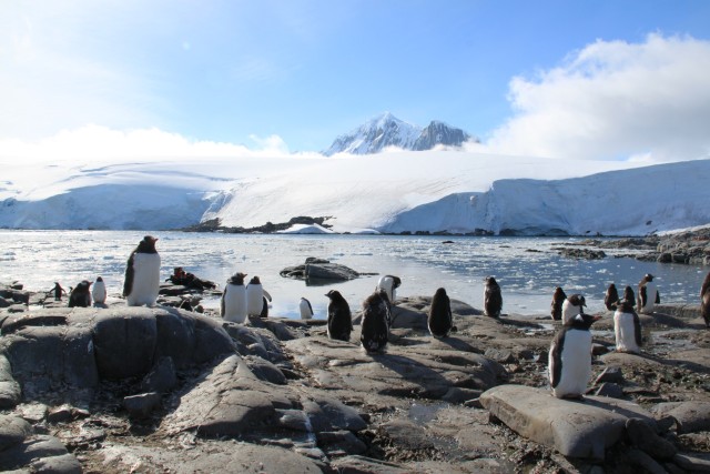 Our first landing today was at the British research base of Port Lockroy.