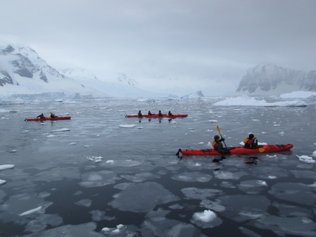 We ended up getting in our kayaks six times, and it was a real highlight of the trip.