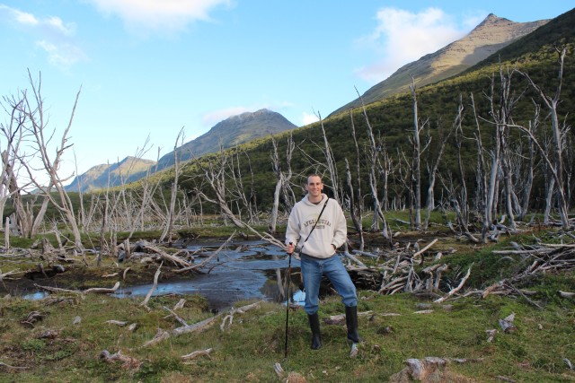One of the more unexpected and interesting day trip option out of Ushuaia was to a beaver nature reserve.
