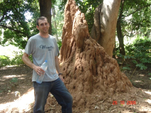 A good sized termite mound.