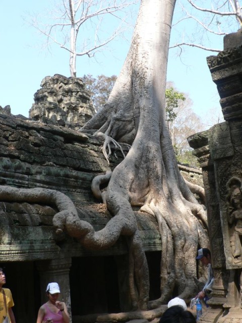 Ta Prohm was lost in the jungle for centuries..