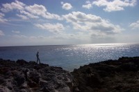 Highlight for album: Grand Cayman