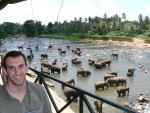 This is the view from the restaurant at Pinnawala Elephant Orphanage.  It was a very cool dinner setting.  I had this same doofy smile for the whole meal.  :-)