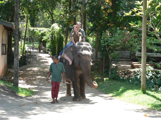 The elephant skin and hairs are so tough that if you don't put a blanket down on its back, it will scratch up your legs and rear..  And noone wants that..  Blanket please!  :-)