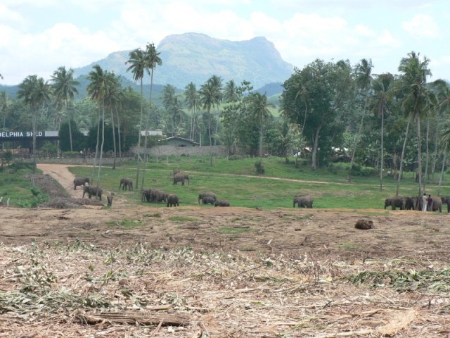 The landscape of this country was so beautiful.