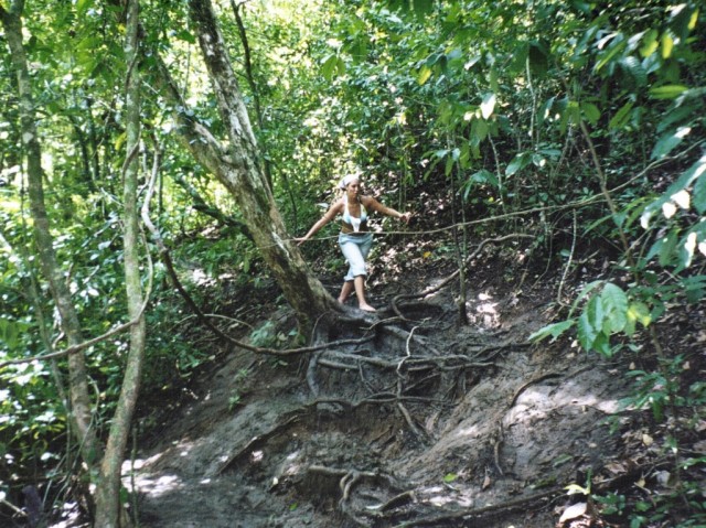 The next day we took a hike through the rain forest...