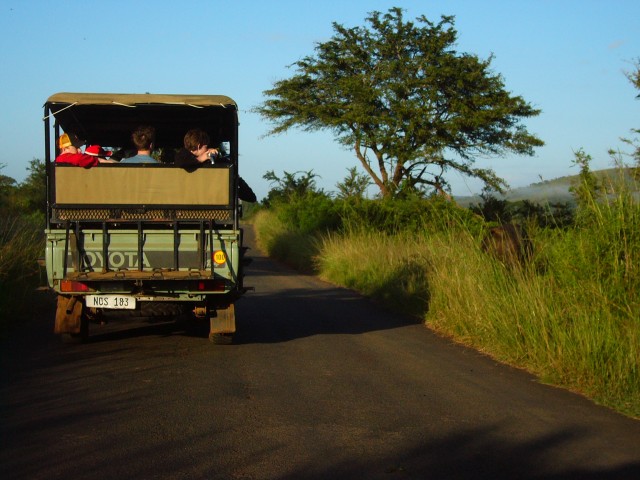 We of course had to zoom past them to get to the animals first