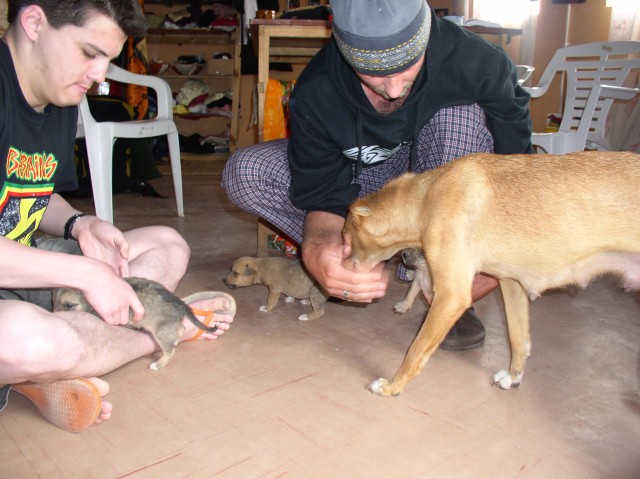 We are in Lori and Jesse's Rondavel playing with No-name and her puppies.