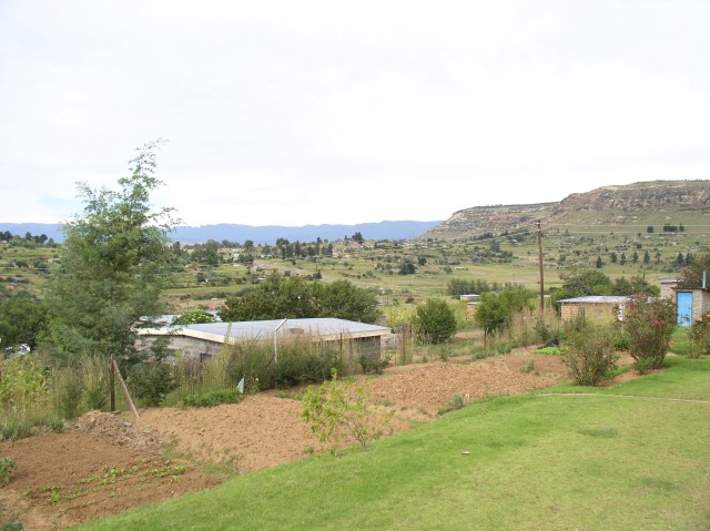 the view from Lori and Jesse's front yard