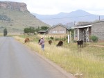 Lori took Jeff and I on a walk to the village of her friend and fellow Peace Corps Volunteer, Chenda.