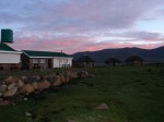 We stayed in the bunkhouse on the left; the employees stayed in the rondavels on the right.