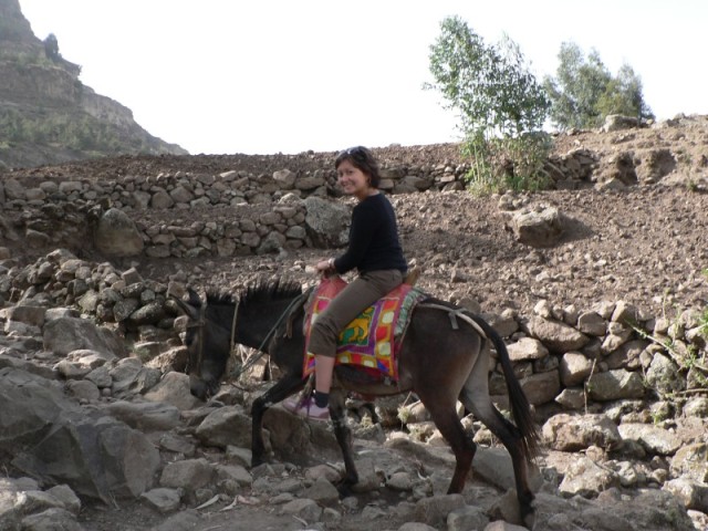 Sara's donkey was surefooted and strong.  My horse was neither - at times I wanted to get off and help push.