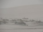 Camels in a sandstorm - so very Lawrence of Arabia.  Good thing we had my truck.  :-)