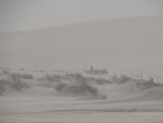 Camels in a sandstorm - so very Lawrence of Arabia.  Good thing we had my truck.  :-)