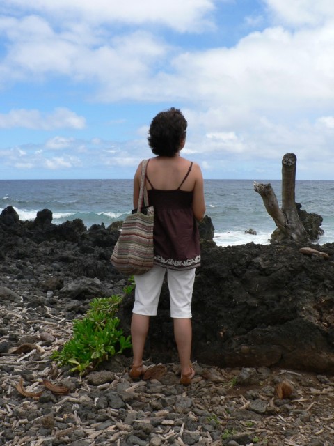 Today we drove the Road to Hana.  The road is only 52 miles, but it has 46 one lane bridges and over 600 curves.