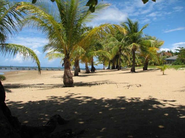 Just down the beach a few miles from Dandy Bay is West Bay, one of the most developed areas of the island.