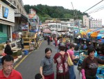 The final stop of the day was the Sokcho fish market.