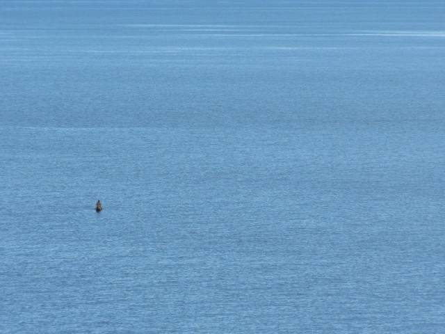 Lake Malawi is the ninth largest in the world, and it has more species of fish than any other lake in the world.