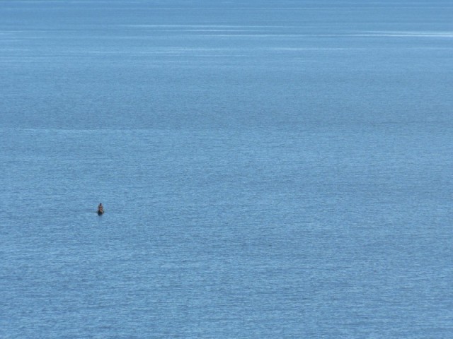 Lake Malawi is the ninth largest in the world, and it has more species of fish than any other lake in the world.