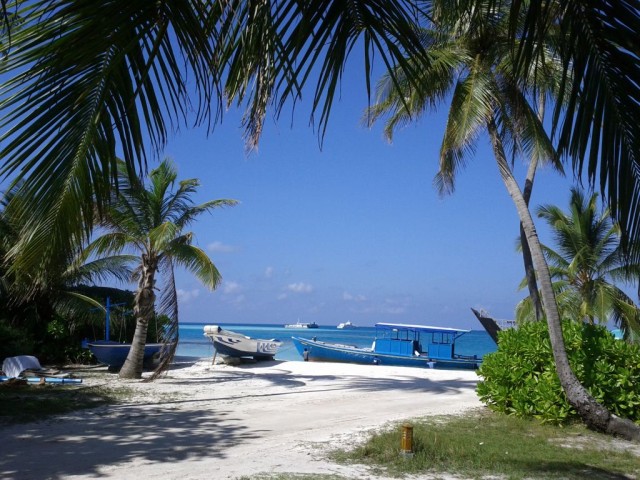 I was exhausted by the previous six months of work, so I decided I needed to sleep by the ocean for a while.