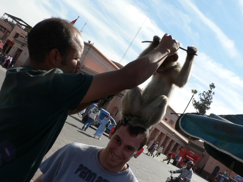 So we consoled ourselves by having a monkey put on our heads.