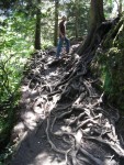 For the final portion of the trail we had to ditch the car and hike.  We weren't sure if we were in Turkey or Middle Earth.