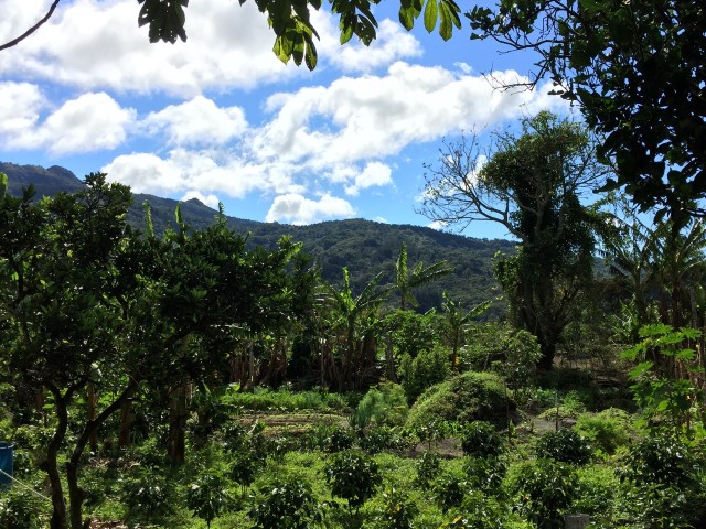 The tour was informative but my favorite part was the scenery around.