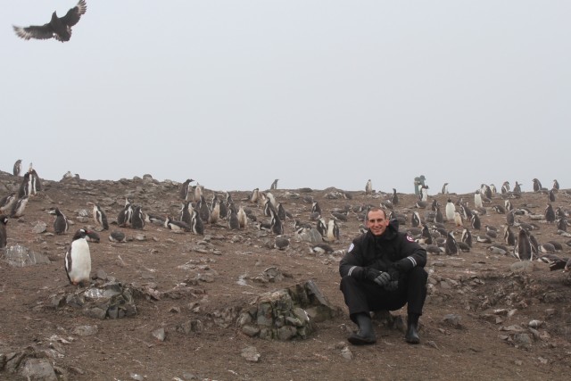 The fog and the mud made for a bit of a post-apocalyptic feel. Albatross photobomb!