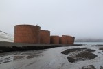 This afternoon we landed at Whaler's Bay, an abandoned whaling site.