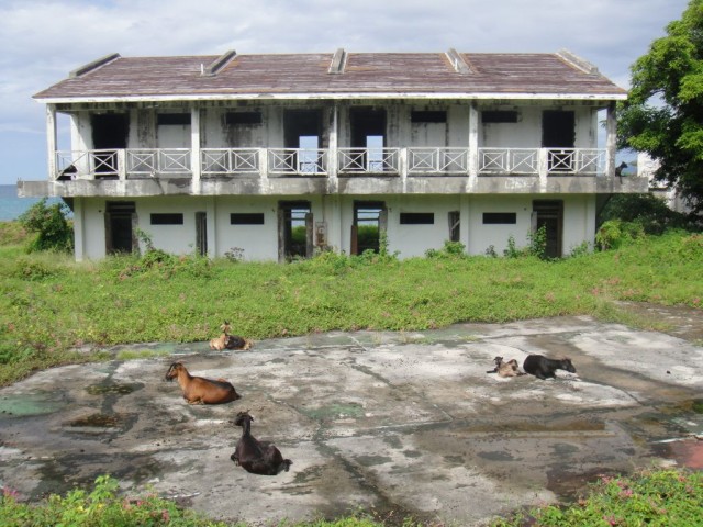 There was some beachfront real estate that appeared that it could be available for sale. This one comes with free goats!