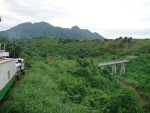 ...through old sugar cane fields...