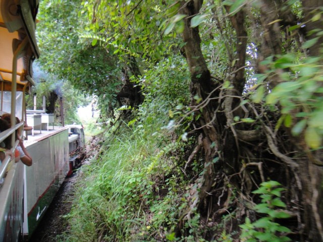 ...and into the jungle. The ride did offer some spectacular views.