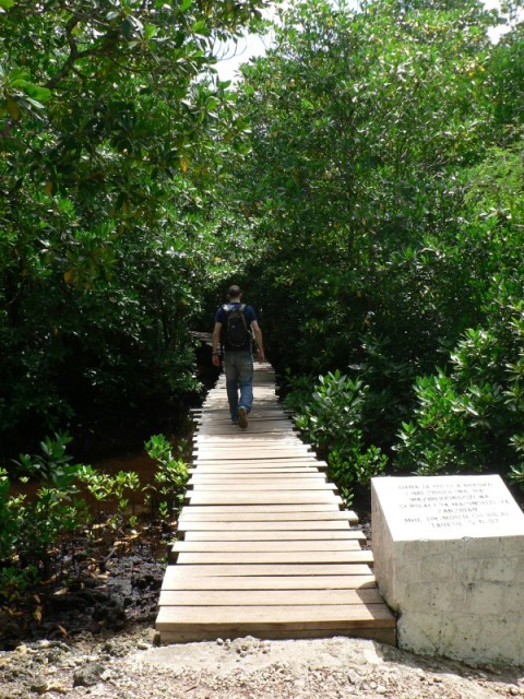 I'm not sure why but I always feel like I am having some sort of adventure when I walk on a boardwalk path through the woods..  :-)