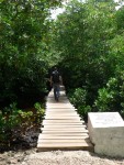 I'm not sure why but I always feel like I am having some sort of adventure when I walk on a boardwalk path through the woods..  :-)