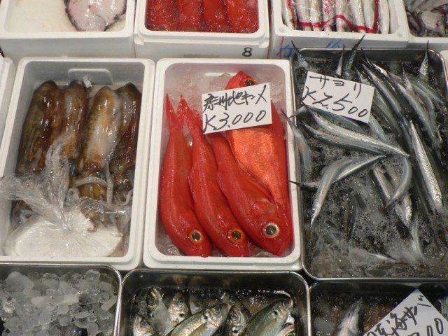 I've never seen so many fish or so many different kinds of fish - the market was huge!