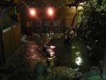 We recovered from our adventure with a dip in the Hakone onsen, an outdoor natural hot spring bath.  Wonderful..