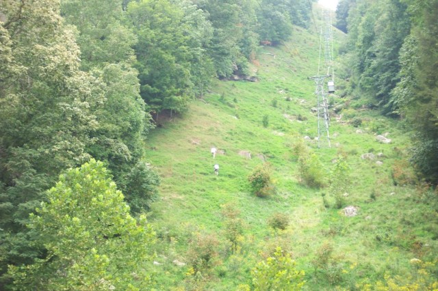 Dad rode up and down on the tram to take pictures of our hike. :-)