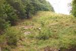 The hill was really steep in places.  One of the steepest places was just over top of an old moonshiners cave.  You can just see the top of the mouth of the cave in the bottom right.