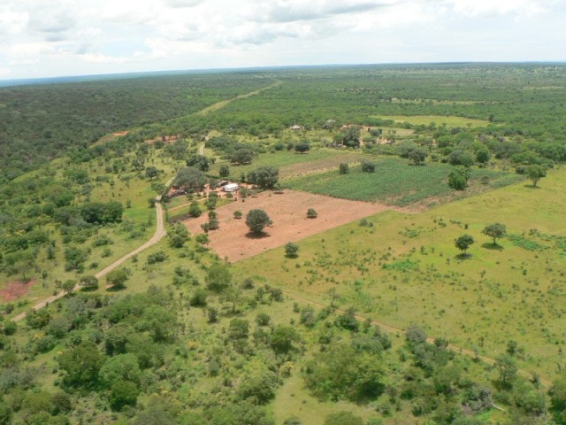 We passed a Zambian village on the way over to the falls.  It looks so cute from the air!  :-)