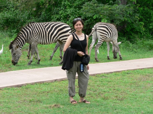 They were very well behaved towards Sara.  Sexist zebras..