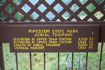 tram9