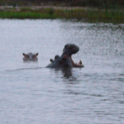Day 3: The Greater St. Lucia Wetland Park