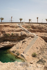oman203